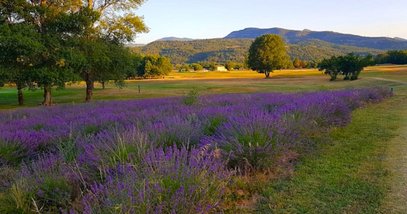 Golf de Digne-les-Bains By Adonis