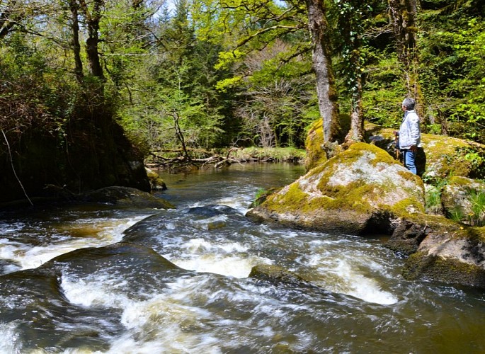 Le Trou du Papetier - Dournazac