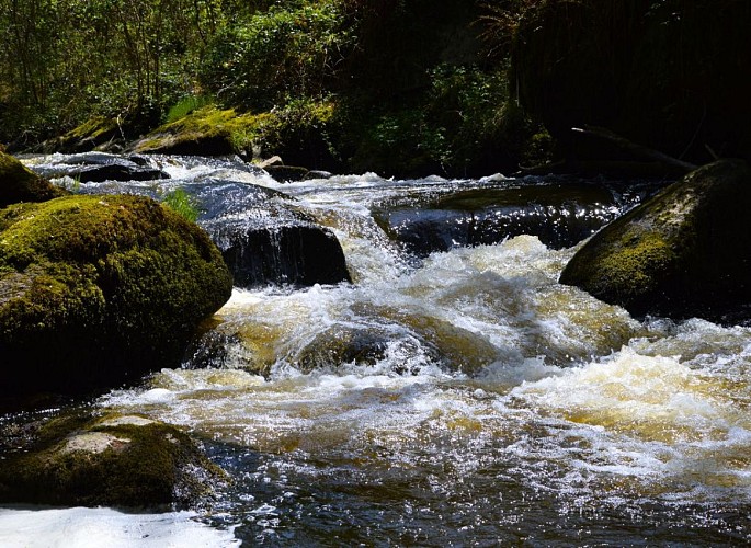 Le Trou du Papetier - Dournazac