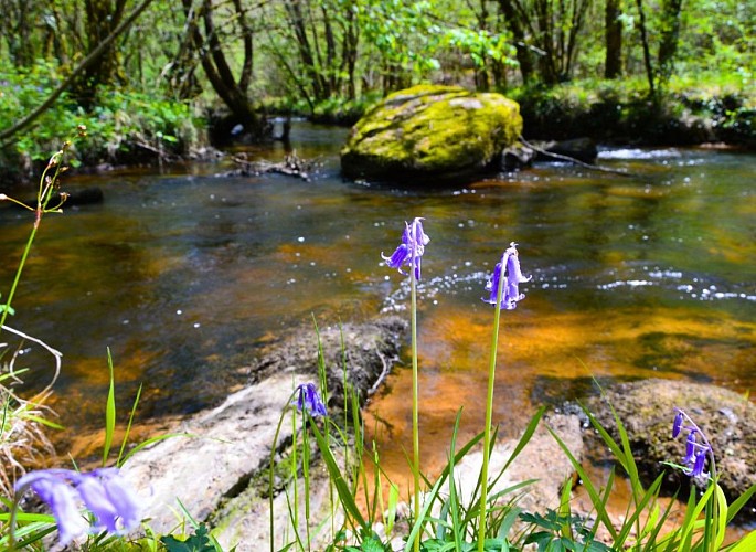 Le Trou du Papetier - Dournazac