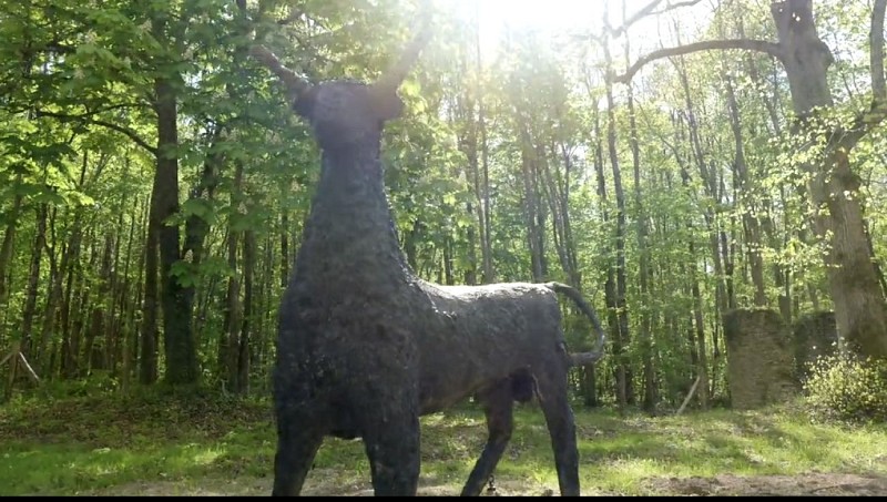 Le taureau camargais