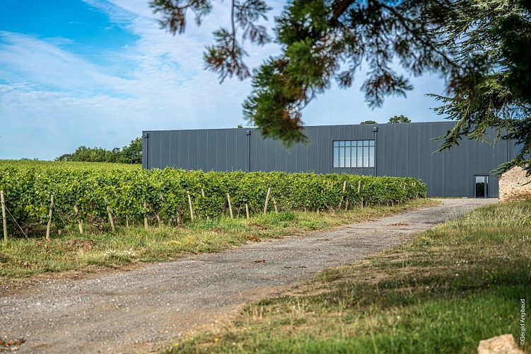 Dégustations au Château Princé - Le raisin dans tous ses états