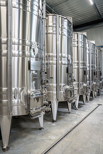 Dégustations au Château Princé - Le raisin dans tous ses états