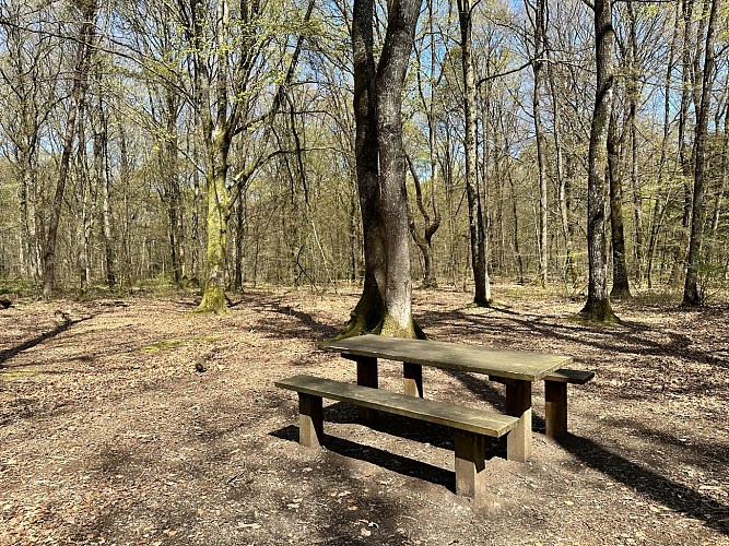 Aire de pique-nique du Bois de l'Huisserie