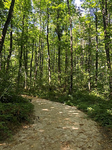 Aire de pique-nique du Bois de l'Huisserie