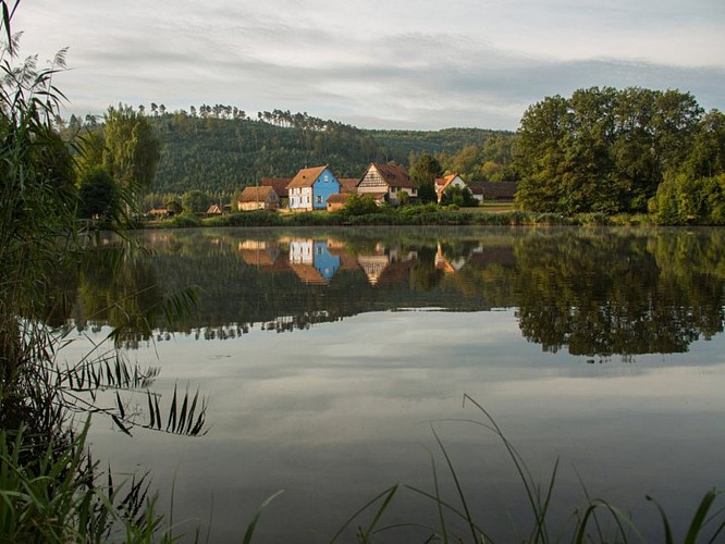 Étang de Baerenthal