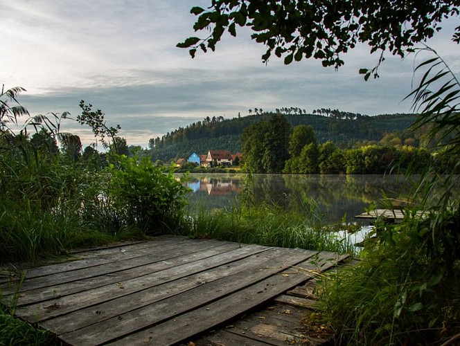 Étang de Baerenthal