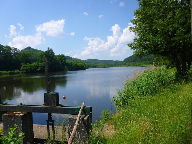 Étang de Baerenthal