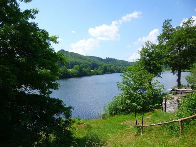 Étang de Baerenthal