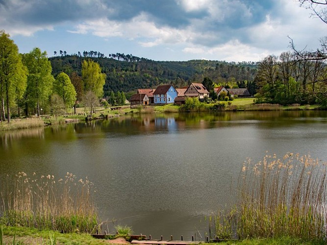 Étang de Baerenthal