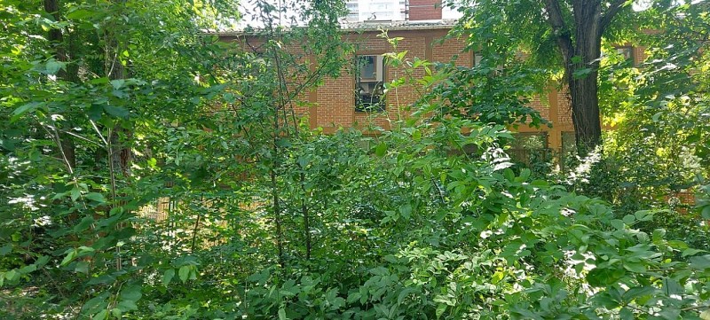 Jardin Pierre Emmanuel