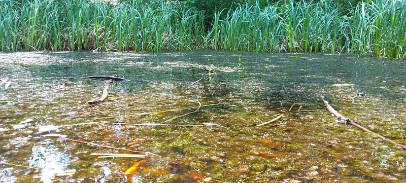 Jardin Pierre Emmanuel