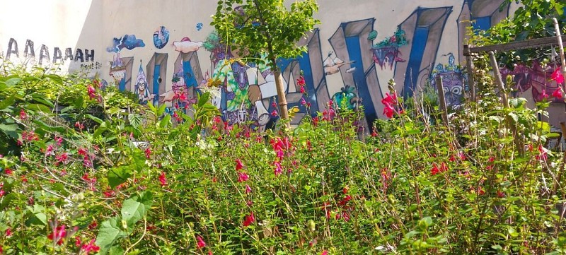 Jardins partagés de la Cité Aubry