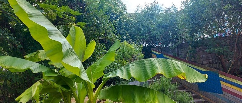 Jardins partagés de la Cité Aubry
