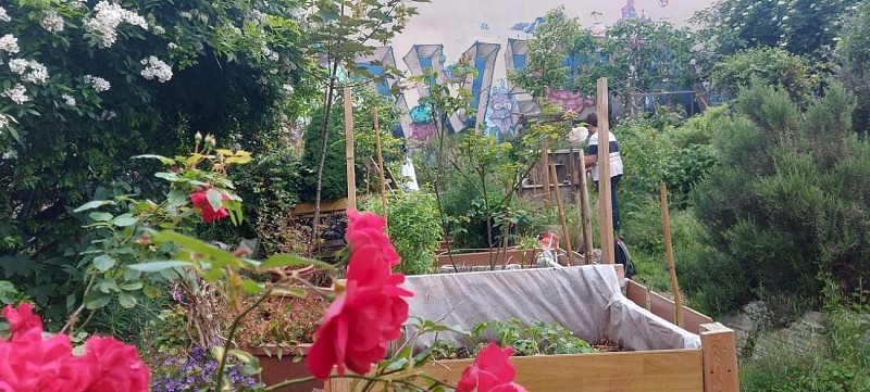 Jardins partagés de la Cité Aubry