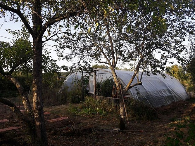 Gîte de Groupe l'Héberge
