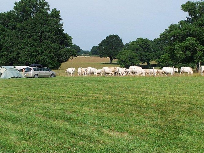 Mini camping Le Cœur du Moulin
