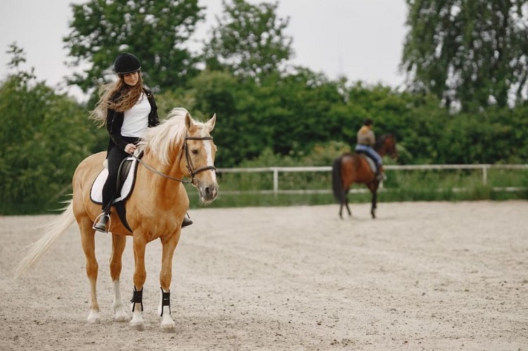 Equitation par Annabelle Fréby