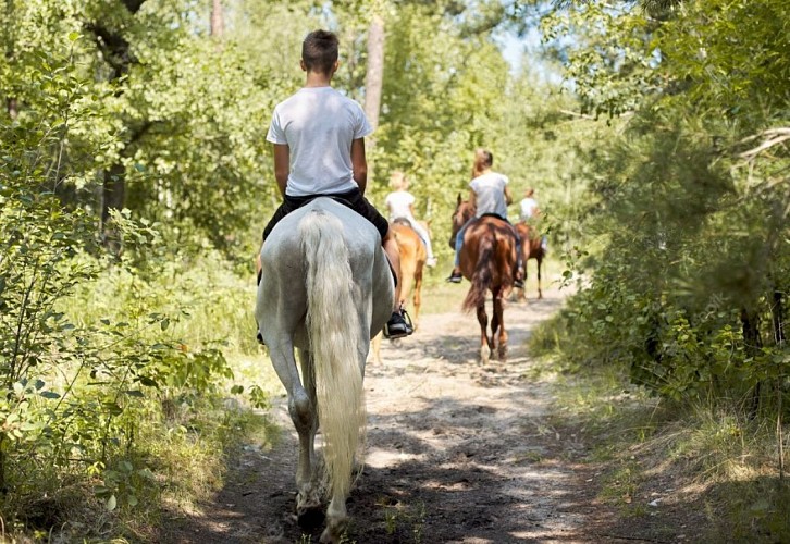 Equitation par Annabelle Fréby