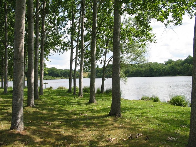 Etang de Vieure