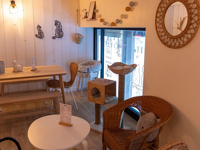 Salon des P'tea chats 