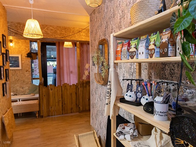 Salon des P'tea chats