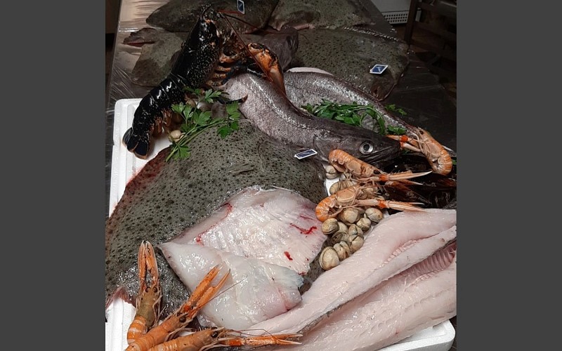 poissons crustacés 1440x900