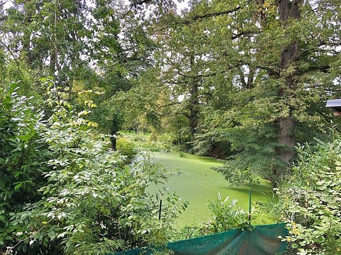 Gîte les communs - Côté château