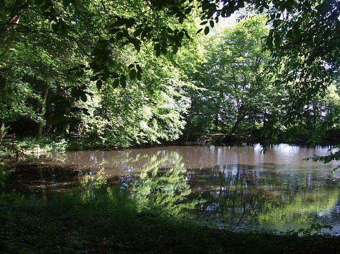 Chambre d'hôtes "Le Pommier"