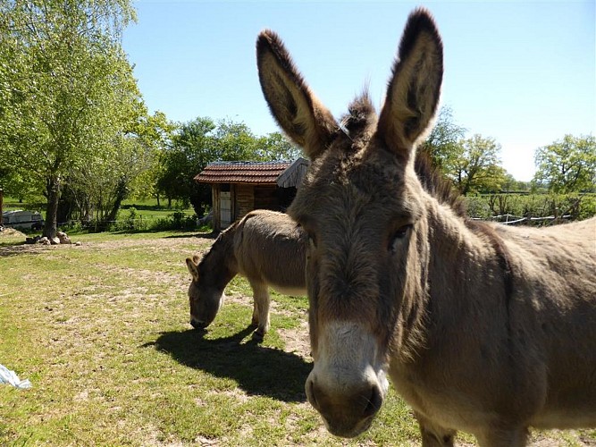 Gîte "La Bergerie" - La Mathonière