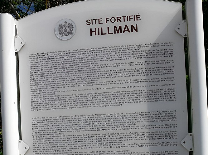 Site Fortifié Hillman