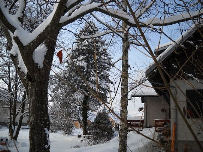 Chambres d'Hôtes Les Grands Arbres