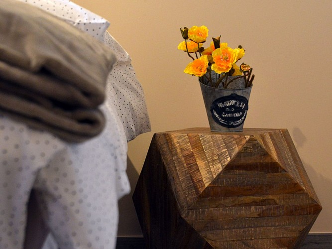 Le Moulin des Chartreux 1733