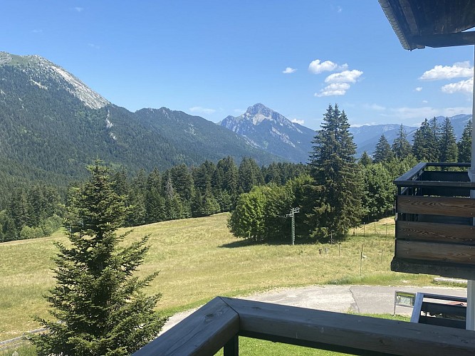 Résidence les 3 Sommets au Col de Porte - appartement Chamechaude 4 à 6 personnes