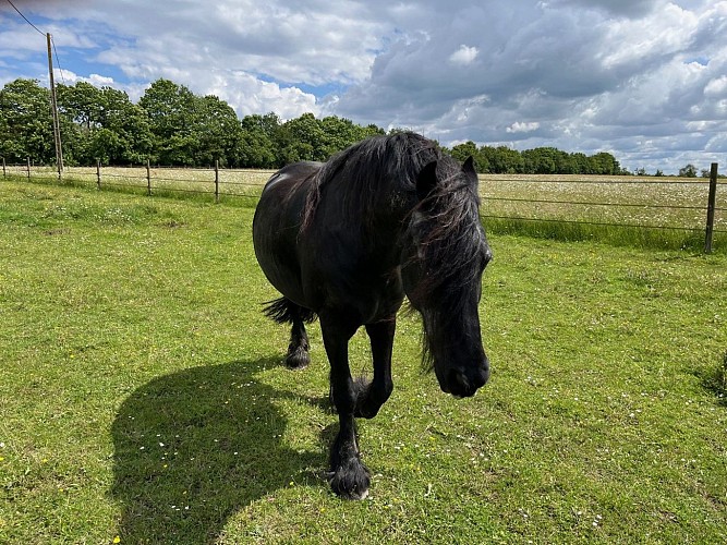 Gîte Le Petit Rocher