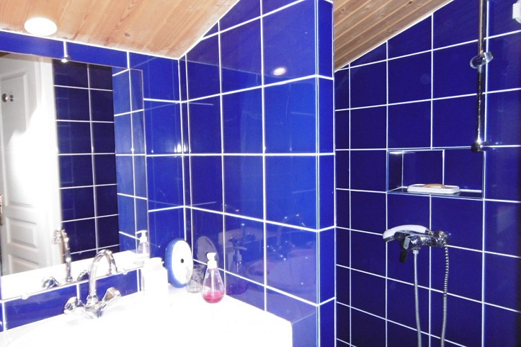 Maison de vacances avec agréable jardin  à Noirmoutier en l'île