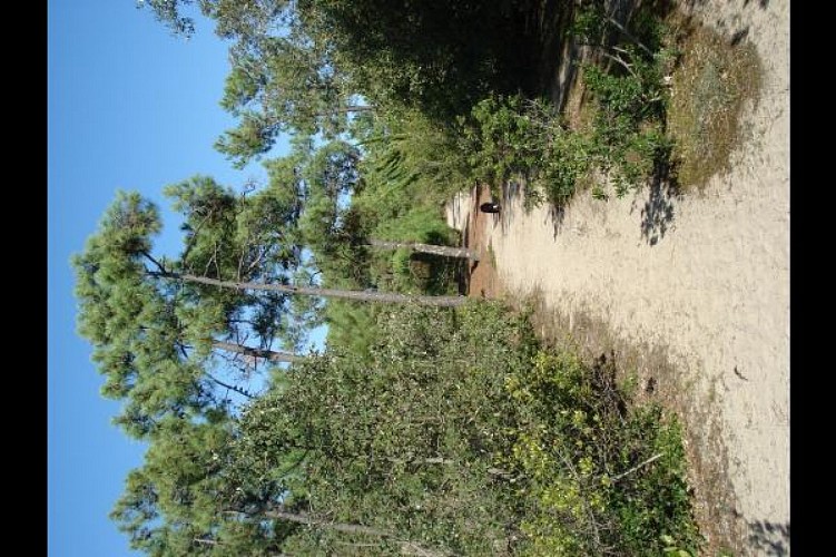 Mme ADDY Maison Mitoyenne 3/4 personnes