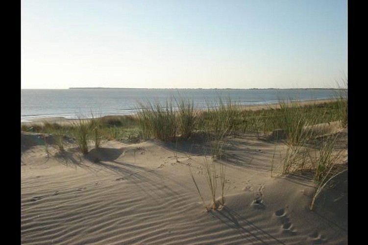 Mme ADDY Maison Mitoyenne 3/4 personnes