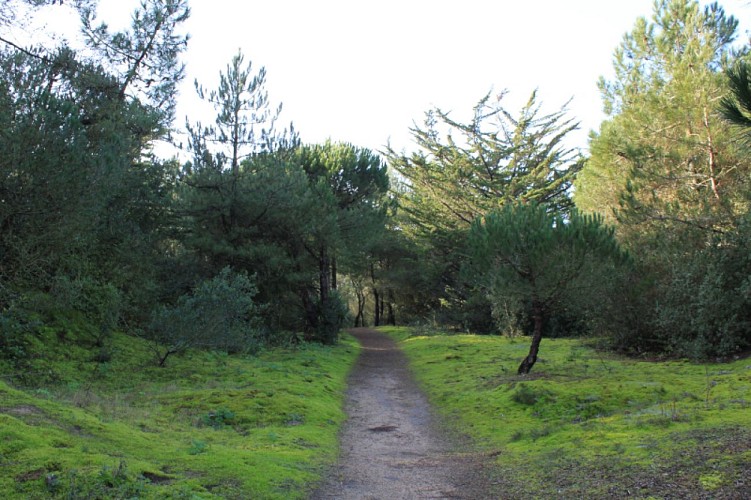 Mme DEMARET - Maison individuelle 2 personnes