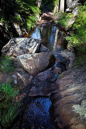 Sentier flore et milieux naturels