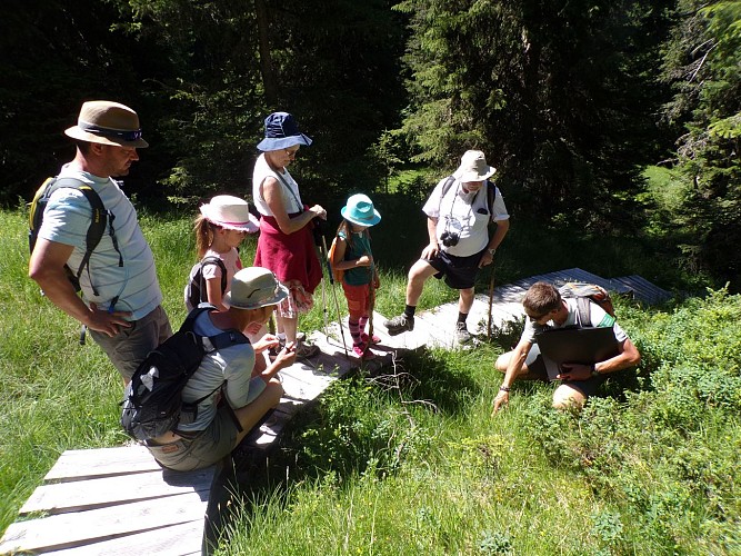 Visite guidée du sentier des Arpelières - les animaux des tourbières