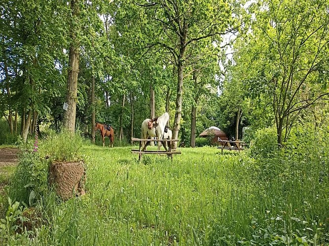 La-Gilberdiere-4-Berjou-800