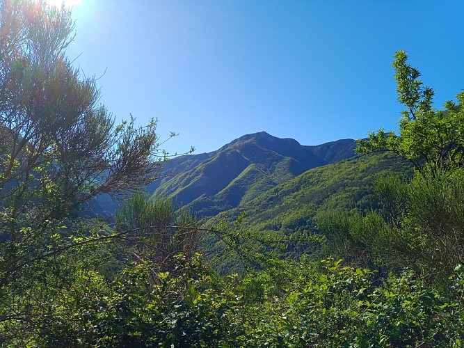 Vue sur la vallée