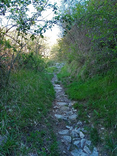 Chemin