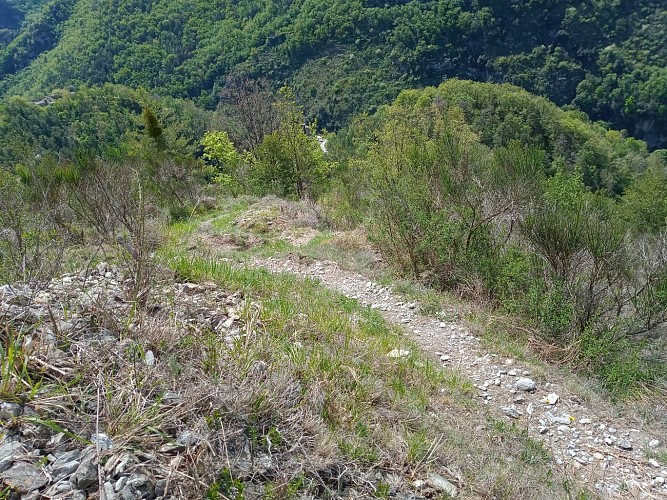 Sentier raide
