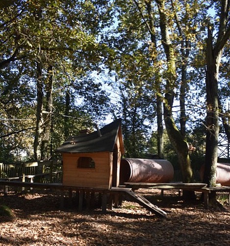 thumbnail_DSC_0175 (1)