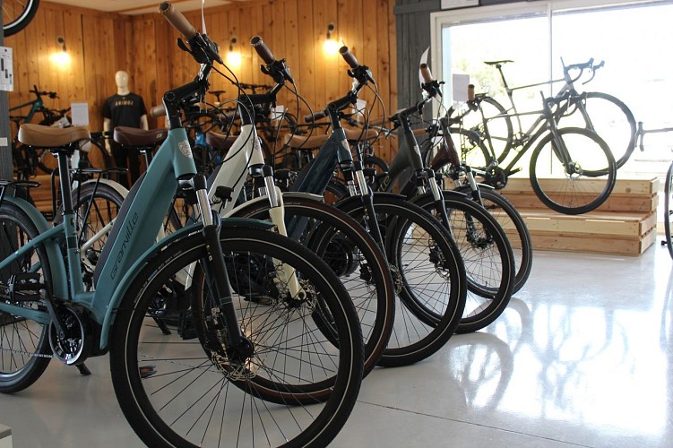 Locations Vélos "MazBike"