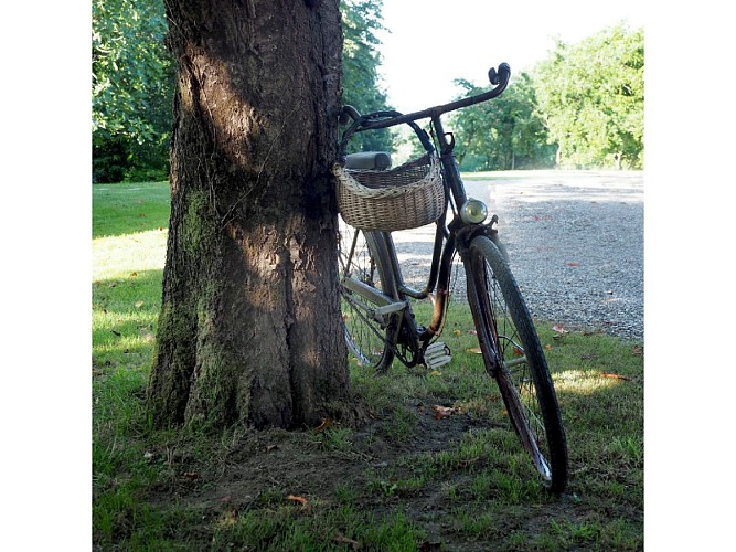 Vélo