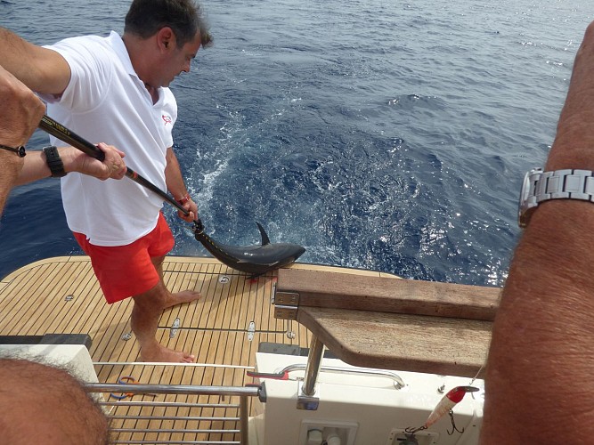 Sportfischen mit Speedfishing