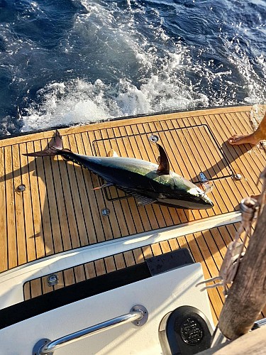 Pêche Sportive avec Speedfishing